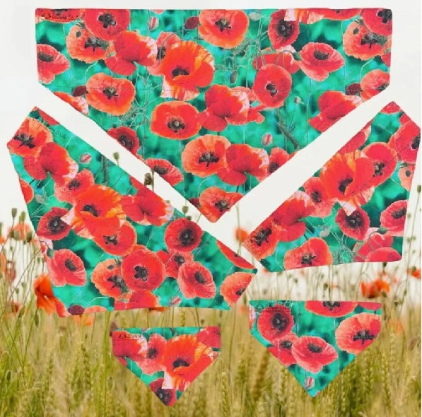 Bandanas - Poppies (On The Collar)