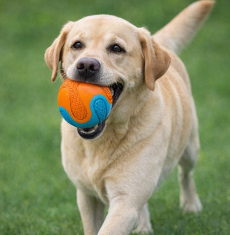 Ancol Play Time Chase Ball