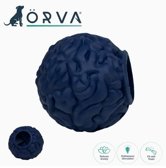 Örva Chase Brain Treat Ball