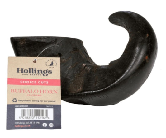 Hollings Buffalo Horn
