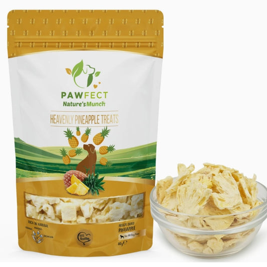 Pawfect Heavenly Pineapple Treats